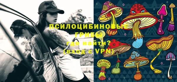 Альфа ПВП Богданович