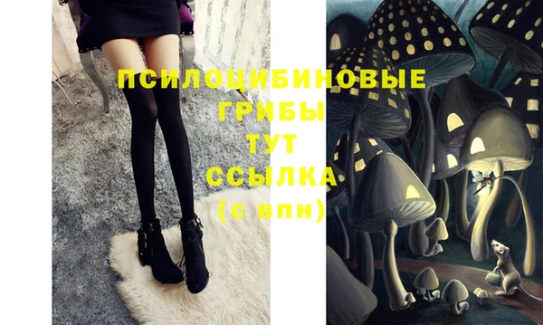 Альфа ПВП Богданович