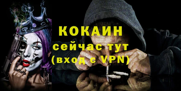 хмурый Богородск