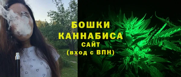 хмурый Богородск