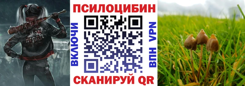 Галлюциногенные грибы Psilocybe  Купить где  Артёмовск 